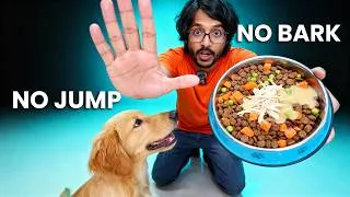 Thumbnail: Trainer Reveals The BEST Way To Stop Puppy Barking For Food
