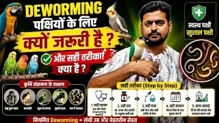 Thumbnail: Bird Deworming की पूरी जानकारी | Deworming क्यों जरूरी है? | Deworming कब और कैसे करें? 