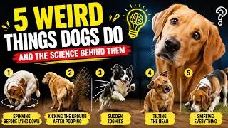 Thumbnail: 5 Strange Things Your Dog Does Explained by Science