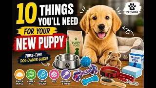 Thumbnail: 10 Things You'll Need for Your New Puppy 🐶 | First-Time Dog Owner Guide