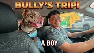 Thumbnail: Driving Through Scenic Cambodia Countryside Picnic & Mountain Views with My Dogs