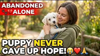 Thumbnail: 🐾💔 Abandoned and Alone: This Puppy Never Gave Up Hope
