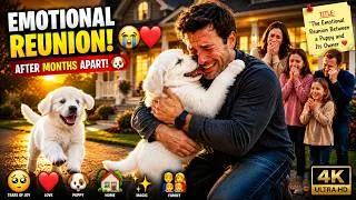 Thumbnail: 😭❤️ The Emotional Reunion Between a Puppy and Its owner