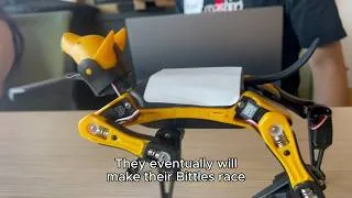 Thumbnail: Kids Code Robot Dogs to Race & Navigate Obstacles | Codeward x Petoi Bittle Robotics Workshop Recap
