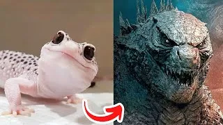 Thumbnail: Baby Cute Animals Grow Up to Adult Animals | I'm A Big Kid Now | Before & After