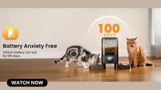 Thumbnail: oneisall 2.4G Cordless Automatic Cat Feeder | 20 Cups / 5L | Rechargeable Battery | Smart