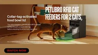 Thumbnail: PETLIBRO RFID Cat Feeders for 2 Cats | Collar Sensor Personalized Feeding | Smart Cat Recognition