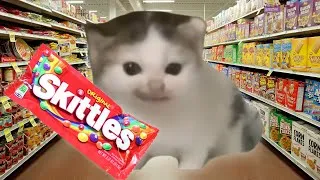 Thumbnail: Skittles meme German Cat Meme