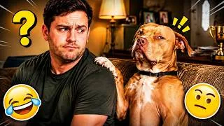 Thumbnail: Funny Dog Compilation Videos Try Not To Laugh | Goofy Pets