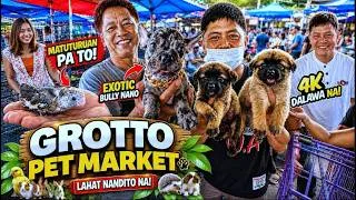 Thumbnail: MADAMI KANG MAGUGUSTUHAN DITO!😍 | Grotto Pet Market Dogs, Cats and Birds