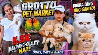 Thumbnail: MAY 5K LANG QUALTY NA! LAHAT MAGANDA!😱 GROTTO PET MARKET | Grotto Pet Market Dogs, Cats & Birds
