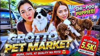 Thumbnail: SHI-POO PUPPIES sa GROTTO! 😍 ANG GAGANDA NG MGA PETS! | Grotto Pet Market Cats, Dogs atbp.