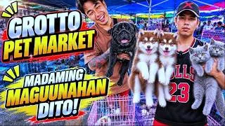 Thumbnail: ANG DAMI MONG PAGPIPILIAN! MAGAGANDANG PETS NANDITO! | Grotto Pet Market Cats, Dogs and Birds