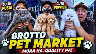 Thumbnail: BIDA ANG MGA PUSA NGAYON! PRESYONG HALOS PAMIGAY NA! | Grotto Pet Market Dogs, Cats & Birds