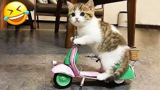 Thumbnail: You laugh you lose 😂 Funniest pet reactions ever 2026 🐶🐱
