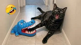 Thumbnail: Try Not To Laugh 😅 Crazy Funny Animal Moments 2026 😹🐶