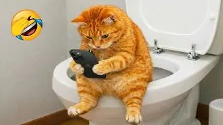 Thumbnail: You Laugh You LOSE 😂 New Funny Cats and Dogs videos 😹🐶