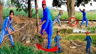 Thumbnail: Lizard 🦎 or Is kay Eggs 🥚 Mil Gay😱