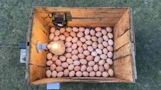 Thumbnail: How to incubate chicken eggs without an incubator ॥ How to make incubator at home easy