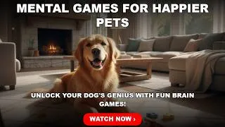 Thumbnail: Secrets to Dog Training Review (2026): Does It Actually Work?