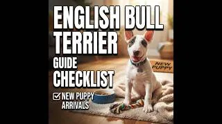 Thumbnail: English Bull Terrier Puppy Checklist: Everything You Need to Prepare for Your New Best Friend