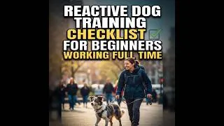 Thumbnail: Reactive Dog Training for Busy Owners: 15-Minute Daily Checklist