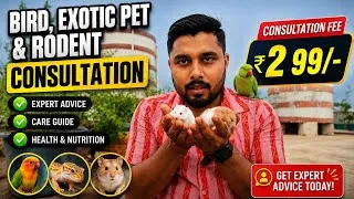 Thumbnail: Pet Birds & Exotic Pets Care Guide | Personal Consultation