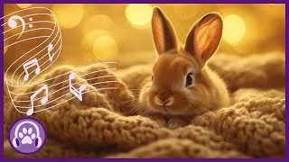 Thumbnail: MAGIC MUSIC FOR RABBITS - Gentle Anxiety Eliminating Lullabies for Bunnies 🐰✨