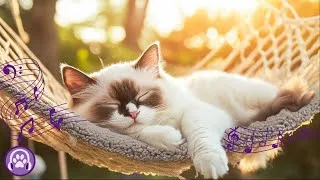 Thumbnail: EXTRA-LONG Music for Cats - Deep Sleep + Anxiety Relief INSTANTLY 💤