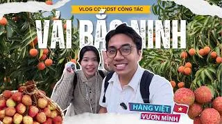 Thumbnail: [HÀNG VIỆT #5] Bắc Ninh không chỉ có Vải Thiều! Cùng Co-host thăm vườn vải sai trĩu quả