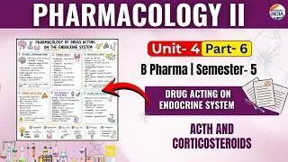 Thumbnail: ACTH and Corticosteroids | Pharmacology | Part - 6 | Unit -4 | Sem -5 B.Pharm