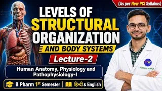 Thumbnail: L-2 | levels of structural organization and body system | B Pharmacy 1st semester | HAPP-1 