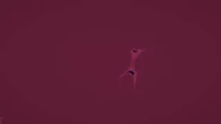 Thumbnail: Plum & Rose Neuro Noise — 4K 2 Hour Screensaver Loop