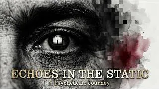 Thumbnail: Echoes in the Static | Official Visualizer
