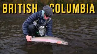 Thumbnail: BC STEEL | 10 Days of Fly Fishing for Steelhead in British Columbia