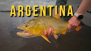 Thumbnail: MOSCA FLY FISHING | Argentina Road Trip for the Most Ruthless Fish in Fly Fishing