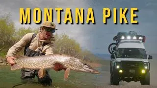 Thumbnail: NORTHBOUND | A Van Life Journey to Fly Fish for Northern Pike