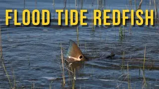Thumbnail: IN THE FLOOD | Fly Fishing for Redfish in the South Carolina Marsh