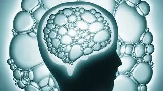 Thumbnail: What is Distinctive of Human Thought?