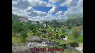 Thumbnail: Admiral Bailey - Winey Winey (sped up)