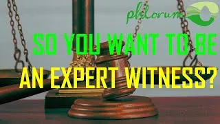 Thumbnail: So You Want to be an Expert Witness? Some Tips from an Experienced Expert