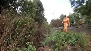 Thumbnail: Japanese Knotweed removal