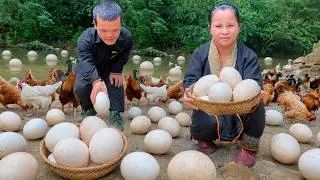 Thumbnail: Dwarf Family Farm Life: Egg Harvest, Garden Renovation & Bamboo Tube Cooking