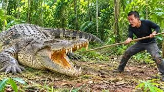 Thumbnail: Dwarf Family Primitive Life: Giant Crocodile Encounter While Harvesting Jackfruit