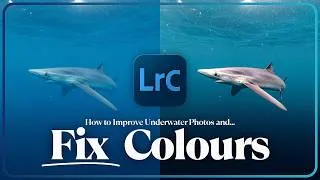 Thumbnail: How I Fix & Improve Underwater Photos in Lightroom