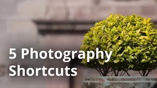 Thumbnail: 5 Simple Shortcuts For Stunning Photos