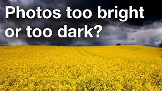 Thumbnail: Exposure Compensation For Beautifully-Lit Photos