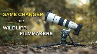 Thumbnail: Fotopro O9 + MH12 Review | Best Lightweight Professional Tripod for Wildlife Filmmaking?