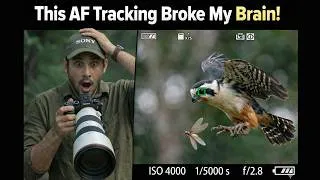 Thumbnail: Sony A1 II Autofocus is INSANE ! | Bird Tracking Test with Sony 300mm f/2.8 GM , Bird Photography |