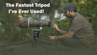Thumbnail: SIRUI SVS75 Rapid System Tripod Review | The Best Tripod for Wildlife & Video Creators?